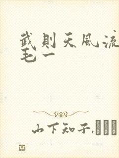 武则天风流艳情毛一