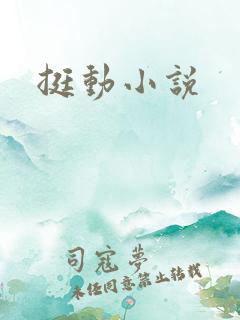 挺动小说
