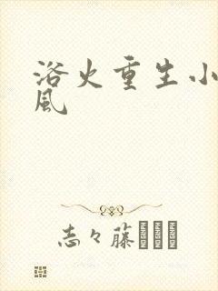 浴火重生小说陈风