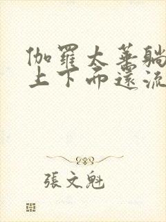 伽罗太华躺在床上下面还流东西