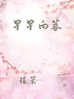 星星向蓉