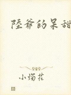 陆爷的呆甜萌妻