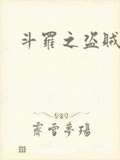 斗罗之盗贼