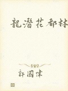 龙潜花都林逸