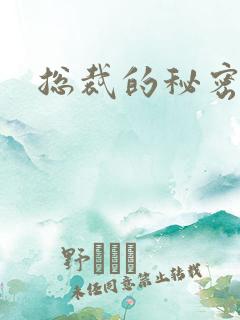 总裁的秘密娇妻