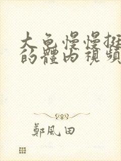 大龟慢慢挺进我的体内视频