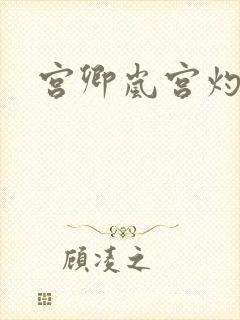 宫卿岚宫灼小说