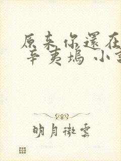 原来你还在这里 辛夷坞 小说