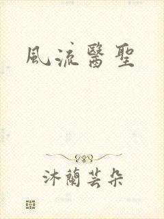 风流医圣