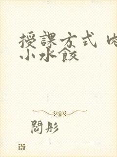 授课方式 肉馅小水饺