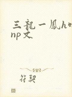 三龙一凤h啪肉np文