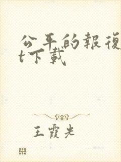 公平的报复txt下载
