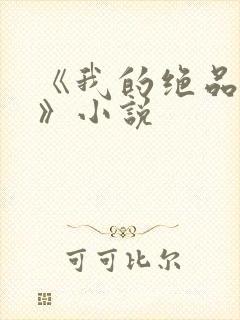 《我的绝品韵母》小说