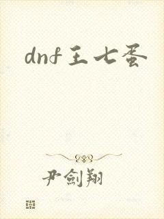 dnf王七蛋