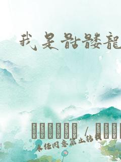 我是骷髅龙骑兵