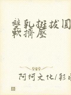 双乳挺拔圆润柔软挤压