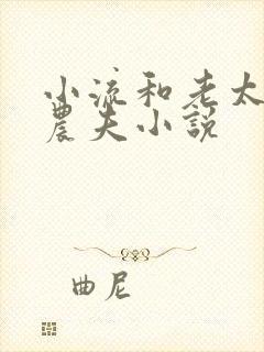 小流和老太69农夫小说