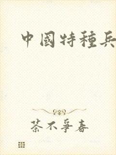 中国特种兵小说