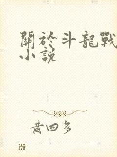 关于斗龙战士的小说