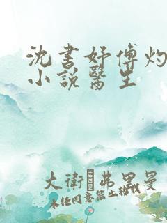 沈书妤傅灼抖音小说医生