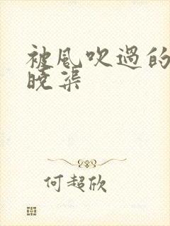 被风吹过的夏天晓渠