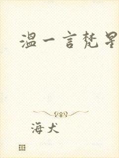 温一言梵星小说