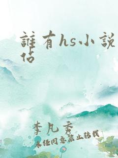 谁有hs小说网站