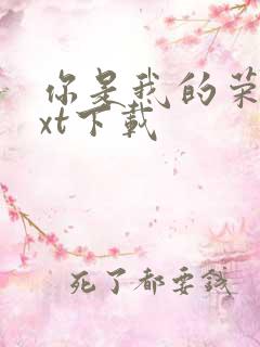 你是我的荣耀txt下载