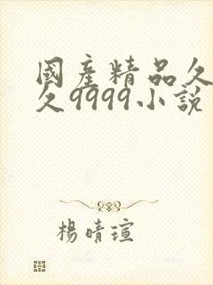 国产精品久久久久9999小说