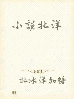 小说北洋
