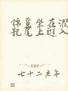 锦觅坐在润玉的龙尾上进入