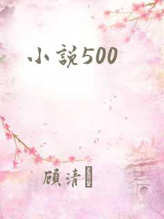 小说500