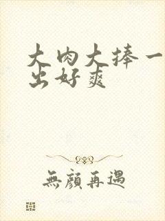 大肉大捧一进一出好爽