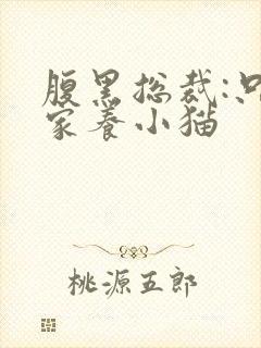 腹黑总裁:只疼家养小猫