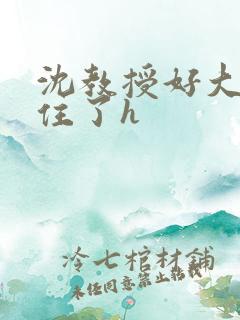 沈教授好大含不住了h