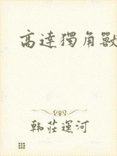 高达独角兽小说