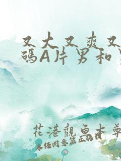 又大又爽又黄无码A片男和男