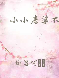 小小老婆不受宠