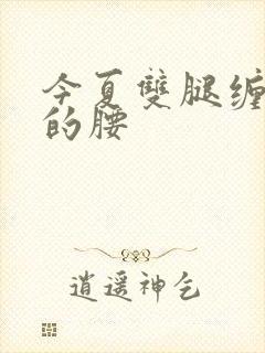 今夏双腿缠陆绎的腰