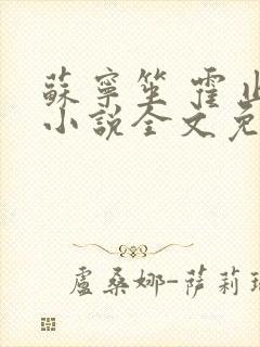 苏宁笙 霍止行小说全文免费阅读