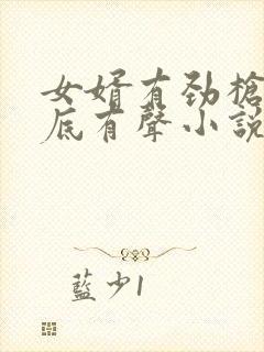 女婿有劲枪枪到底有声小说