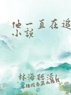 他一直在追初恋小说