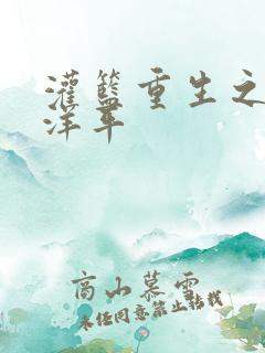 灌篮重生之水户洋平