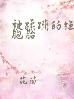 被蹂躏的绝色双胞胎