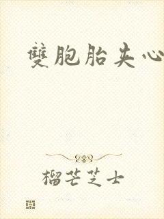 双胞胎夹心运动