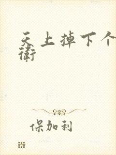 天上掉下个影卫卫