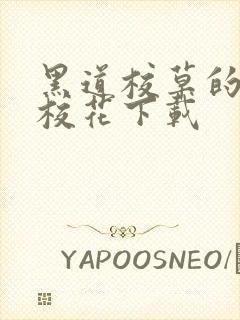 黑道校草的黑道校花下载