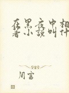 在黑夜中相拥原著小说叫什么