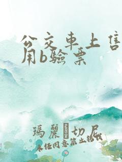 公交车上售票员用b验票