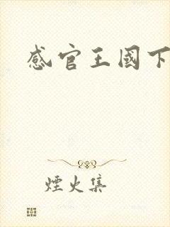 感官王国下载
